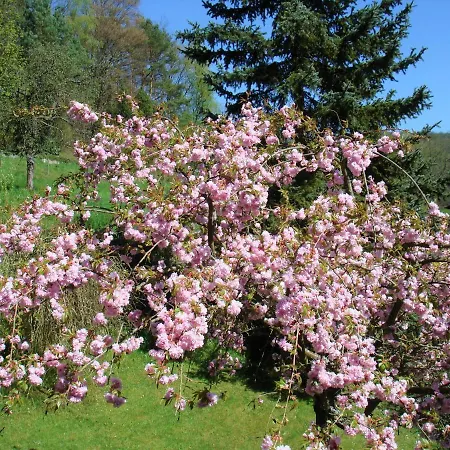 Haus Sommerberg *