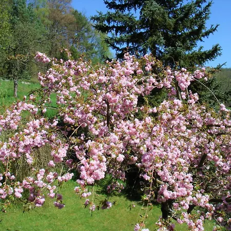 Haus Sommerberg *